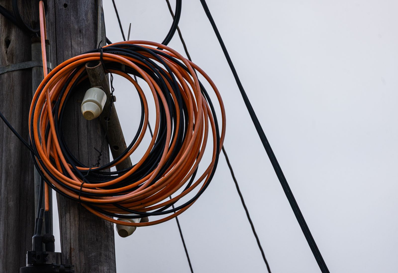 A cross-section of a coaxial cable showing its copper core and protective mesh, with natural light.
