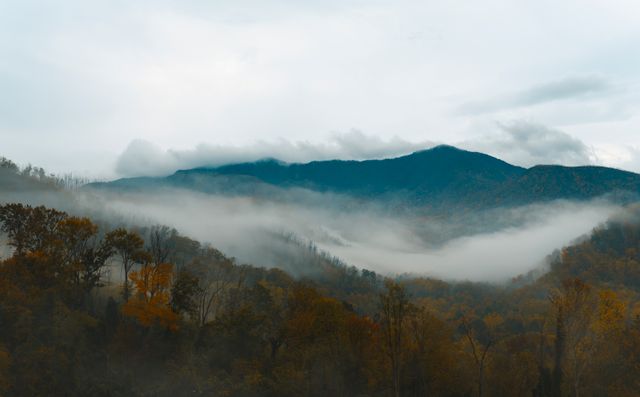 Main entrance of Dollywood theme park in Pigeon Forge, Tennessee, featuring mountains and landscaping.