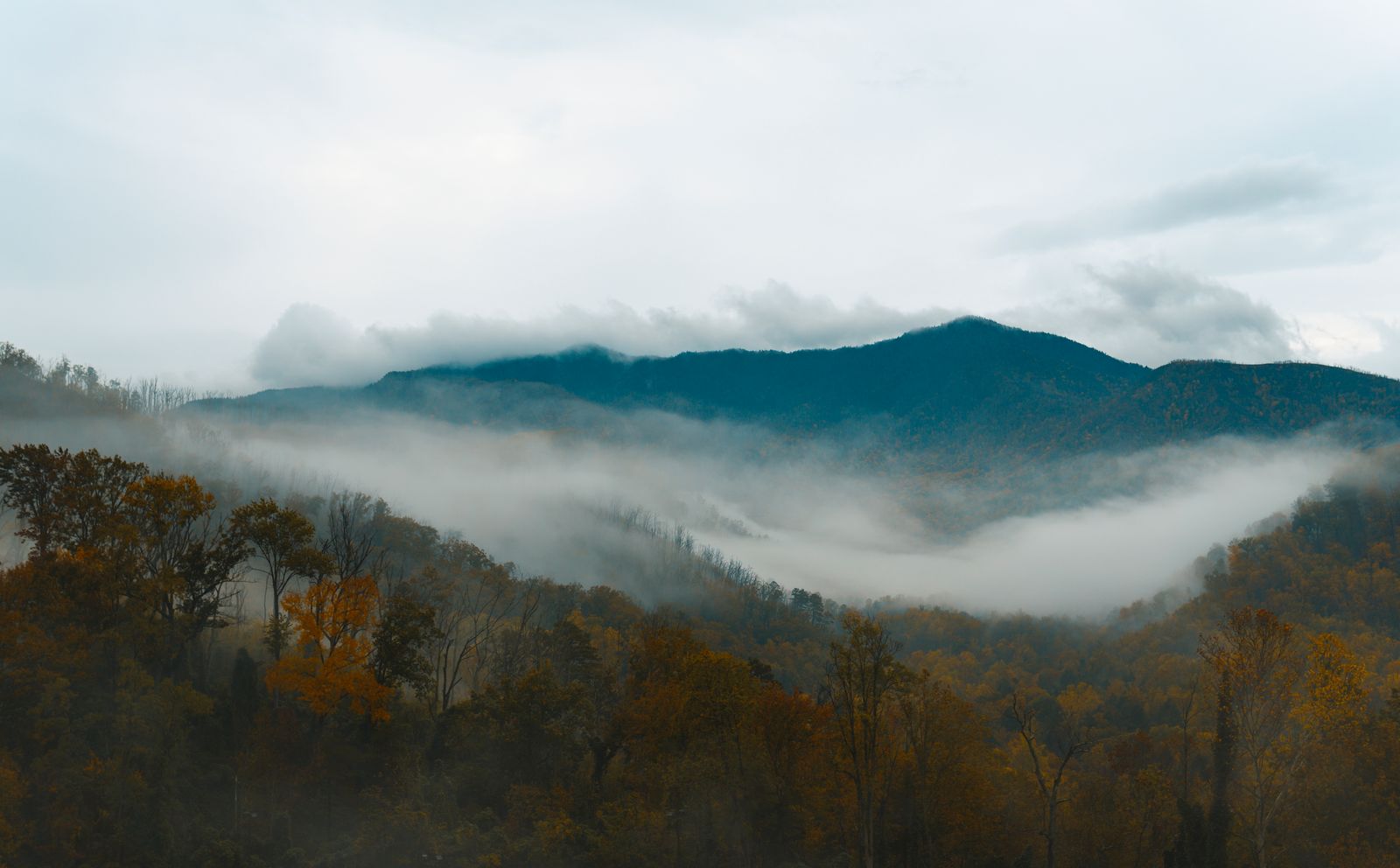 Main entrance of Dollywood theme park in Pigeon Forge, Tennessee, featuring mountains and landscaping.